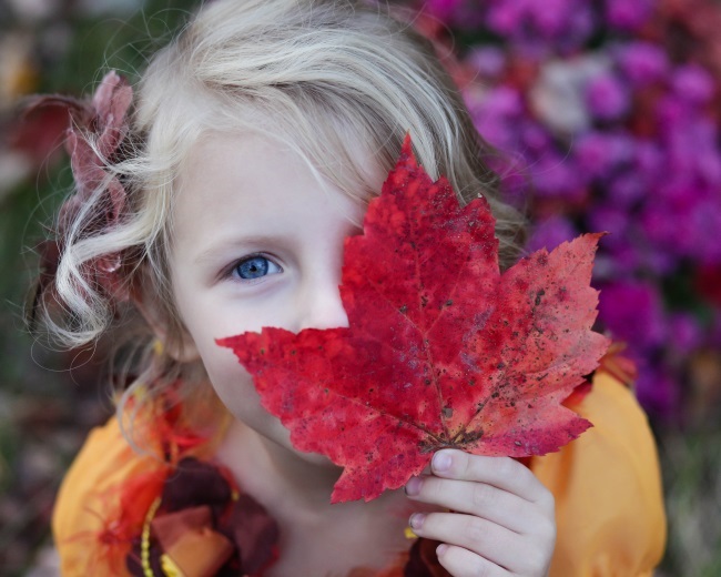 Young girl holding autumn leaf against her face