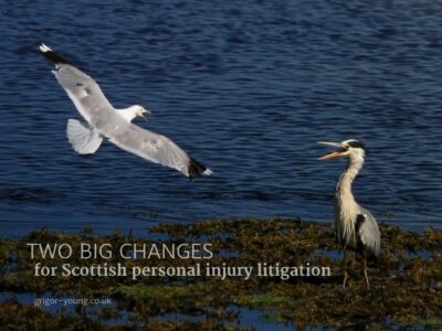 Argument between a Seagull and a Heron at Lossiemouth, Moray