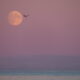 Moonrise-Lossiemouth-West-Beach-Moray